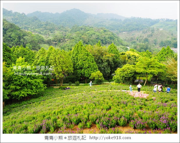 台中新社景觀餐廳》薰衣草森林新社店．森林旋轉木馬~浪漫約會景點 @青青小熊＊旅遊札記