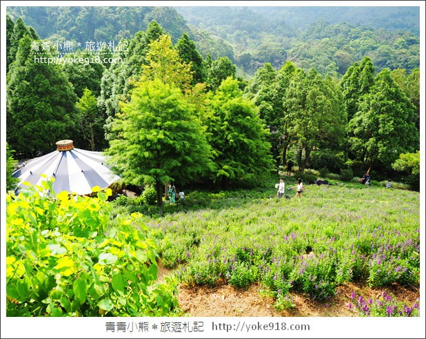 台中新社景觀餐廳》薰衣草森林新社店．森林旋轉木馬~浪漫約會景點 @青青小熊＊旅遊札記