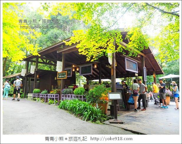 台中新社景觀餐廳》薰衣草森林新社店．森林旋轉木馬~浪漫約會景點 @青青小熊＊旅遊札記