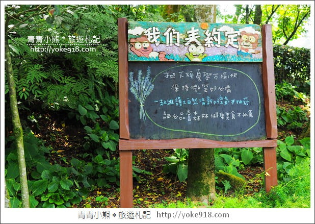 台中新社景觀餐廳》薰衣草森林新社店．森林旋轉木馬~浪漫約會景點 @青青小熊＊旅遊札記