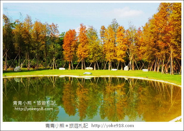 新竹景點》大樂之野景觀餐廳.關西隱藏版落羽松~愛心水池超浪漫 @青青小熊*旅遊札記 新竹景點》大樂之野景觀餐廳.關西隱藏版落羽松~愛心水池超浪漫 @青青小熊*旅遊札記