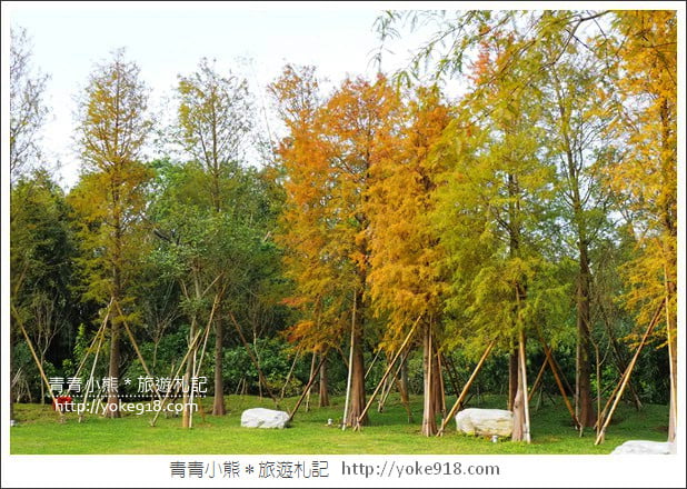 新竹景點》大樂之野景觀餐廳．關西隱藏版落羽松~愛心水池超浪漫 @青青小熊＊旅遊札記