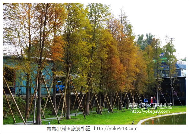新竹景點》大樂之野景觀餐廳.關西隱藏版落羽松~愛心水池超浪漫 @青青小熊*旅遊札記 新竹景點》大樂之野景觀餐廳.關西隱藏版落羽松~愛心水池超浪漫 @青青小熊*旅遊札記