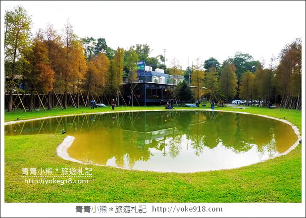 新竹景點》大樂之野景觀餐廳．關西隱藏版落羽松~愛心水池超浪漫 @青青小熊＊旅遊札記