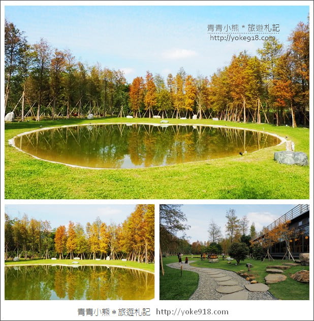 新竹景點》大樂之野景觀餐廳.關西隱藏版落羽松~愛心水池超浪漫 @青青小熊*旅遊札記 新竹景點》大樂之野景觀餐廳.關西隱藏版落羽松~愛心水池超浪漫 @青青小熊*旅遊札記