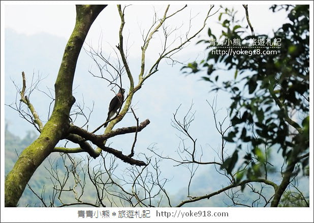 新竹景點》關西佛陀世界童話版城堡．新竹IG打卡熱點 @青青小熊＊旅遊札記