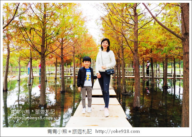台中中科落羽松》台中市區隱藏版水上落羽松林~一起旅行去(2020現場已剷平) @青青小熊＊旅遊札記