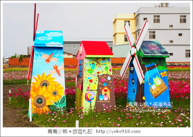 台中景點》龍井花海．2018花現龍井實況搶先看~賞花海趁現在 @青青小熊＊旅遊札記