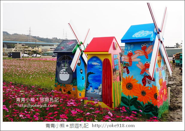 台中景點》龍井花海．2018花現龍井實況搶先看~賞花海趁現在 @青青小熊＊旅遊札記