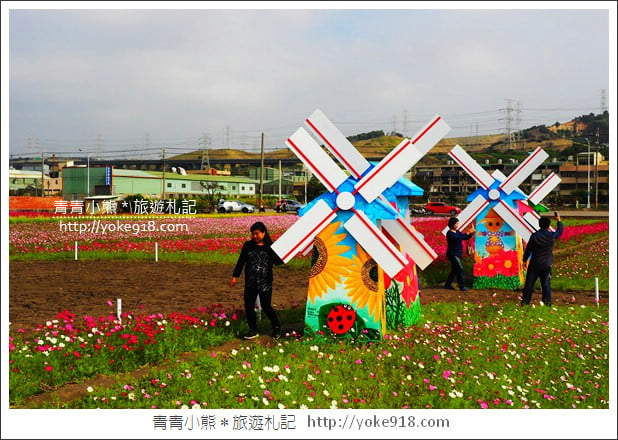 台中景點》龍井花海．2018花現龍井實況搶先看~賞花海趁現在 @青青小熊＊旅遊札記