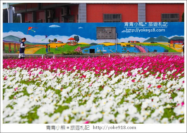 台中景點》龍井花海．2018花現龍井實況搶先看~賞花海趁現在 @青青小熊＊旅遊札記