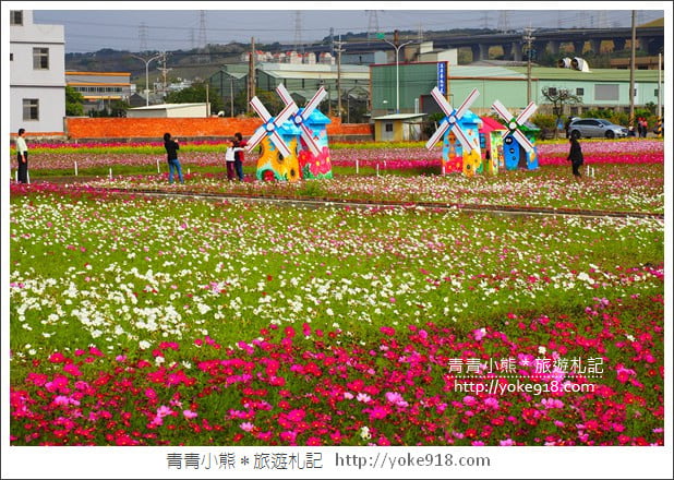 台中景點》龍井花海．2018花現龍井實況搶先看~賞花海趁現在 @青青小熊＊旅遊札記
