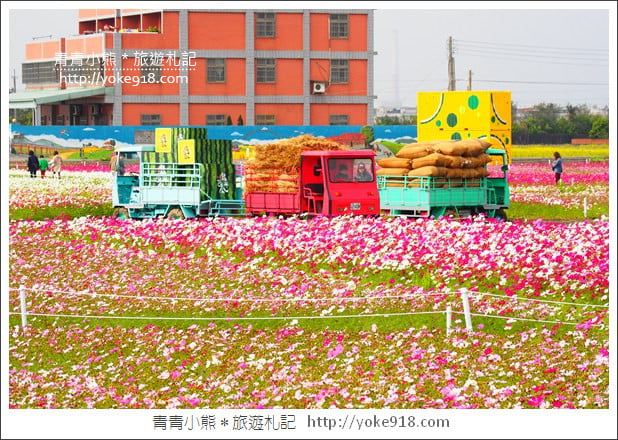 台中景點》龍井花海．2018花現龍井實況搶先看~賞花海趁現在 @青青小熊＊旅遊札記