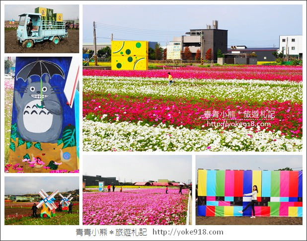 台中景點》龍井花海．2018花現龍井實況搶先看~賞花海趁現在 @青青小熊＊旅遊札記