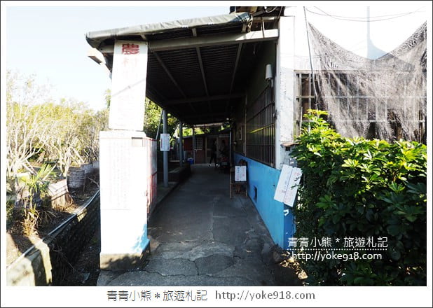 彰化景點》田尾農村仙人掌園.彷彿走進沙漠~比人高的仙人掌好吸睛 @青青小熊*旅遊札記 彰化景點》田尾農村仙人掌園.彷彿走進沙漠~比人高的仙人掌好吸睛 @青青小熊*旅遊札記