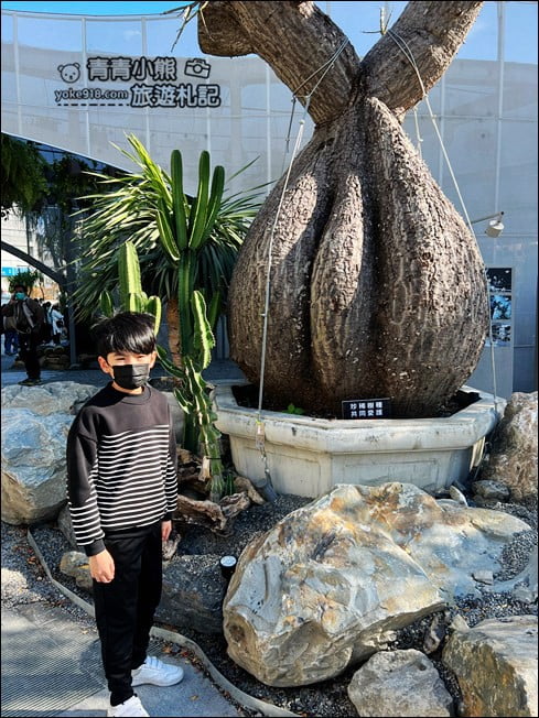 台中景點》PARK2草悟廣場.城市中的小森林,美食、市集~假日休閒新去處 @青青小熊*旅遊札記 台中景點》PARK2草悟廣場.城市中的小森林,美食、市集~假日休閒新去處 @青青小熊*旅遊札記