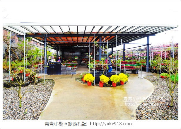 宜蘭景點》指尖陀螺館．陀陀螺TOTOLO~(已結束營業) @青青小熊＊旅遊札記