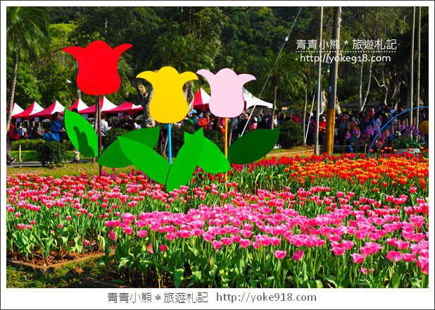 台北景點》士林官邸鬱金香展春季限定.七萬株鬱金香齊開放 @青青小熊*旅遊札記 台北景點》士林官邸鬱金香展春季限定.七萬株鬱金香齊開放 @青青小熊*旅遊札記