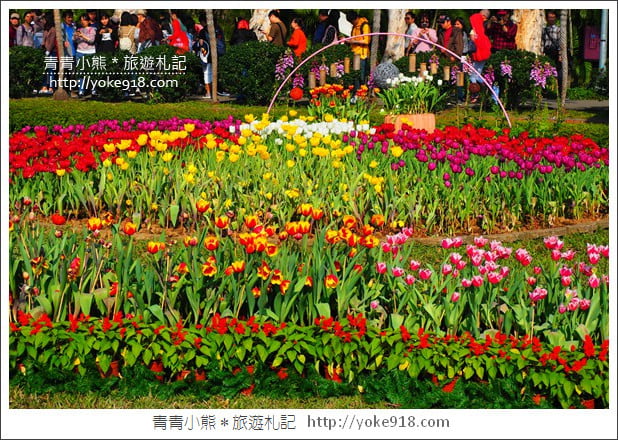 台北景點》士林官邸鬱金香展春季限定．七萬株鬱金香齊開放 @青青小熊＊旅遊札記