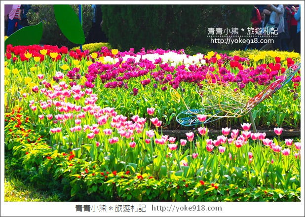 台北景點》士林官邸鬱金香展春季限定.七萬株鬱金香齊開放 @青青小熊*旅遊札記 台北景點》士林官邸鬱金香展春季限定.七萬株鬱金香齊開放 @青青小熊*旅遊札記
