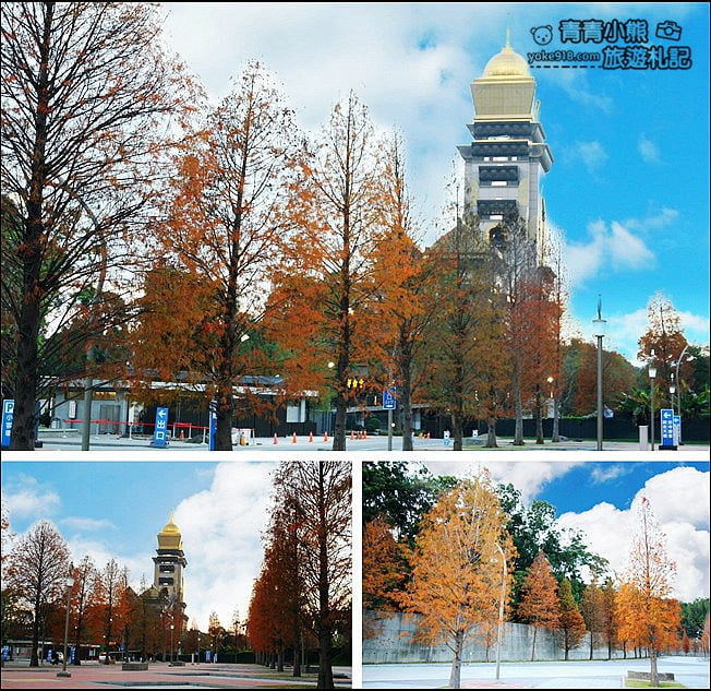 南投景點》中台禪寺．免費參觀落羽松~紅通通超美落羽松林 @青青小熊＊旅遊札記