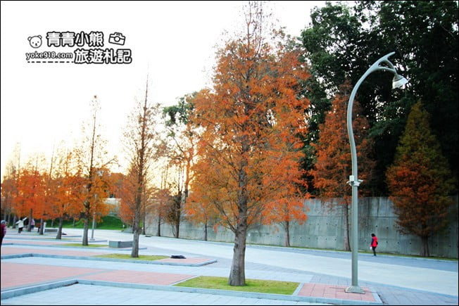 南投景點》中台禪寺．免費參觀落羽松~紅通通超美落羽松林 @青青小熊＊旅遊札記