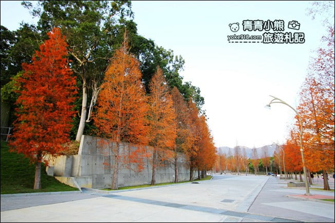 南投景點》中台禪寺．免費參觀落羽松~紅通通超美落羽松林 @青青小熊＊旅遊札記