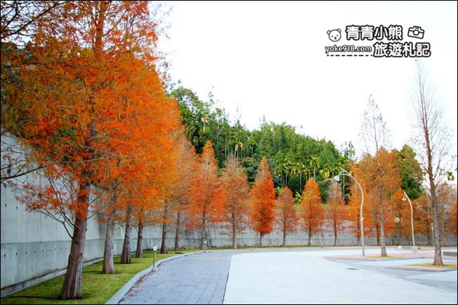 南投景點》中台禪寺．免費參觀落羽松~紅通通超美落羽松林 @青青小熊＊旅遊札記
