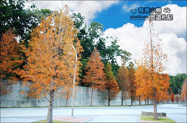 南投景點》中台禪寺．免費參觀落羽松~紅通通超美落羽松林 @青青小熊＊旅遊札記