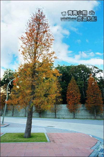 南投景點》中台禪寺．免費參觀落羽松~紅通通超美落羽松林 @青青小熊＊旅遊札記