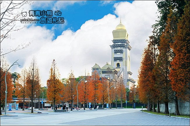 南投景點》中台禪寺．免費參觀落羽松~紅通通超美落羽松林 @青青小熊＊旅遊札記