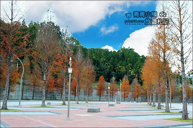 南投景點》中台禪寺．免費參觀落羽松~紅通通超美落羽松林 @青青小熊＊旅遊札記