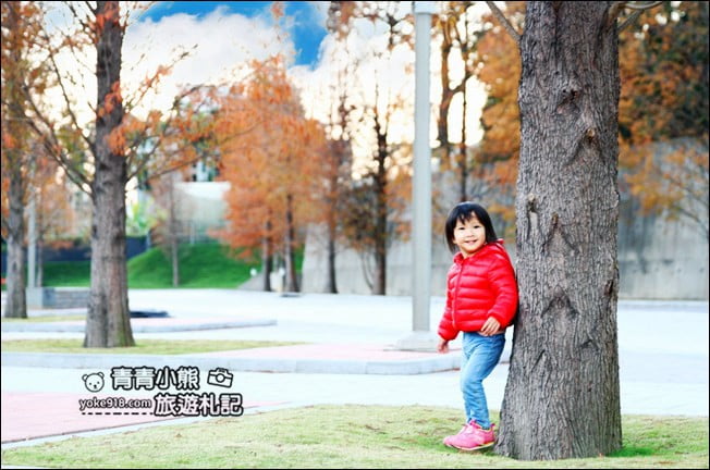 南投景點》中台禪寺．免費參觀落羽松~紅通通超美落羽松林 @青青小熊＊旅遊札記
