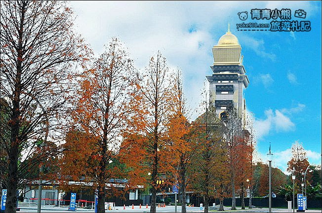 南投景點》中台禪寺．免費參觀落羽松~紅通通超美落羽松林 @青青小熊＊旅遊札記