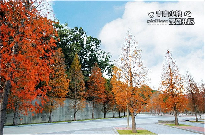 南投景點》中台禪寺．免費參觀落羽松~紅通通超美落羽松林 @青青小熊＊旅遊札記