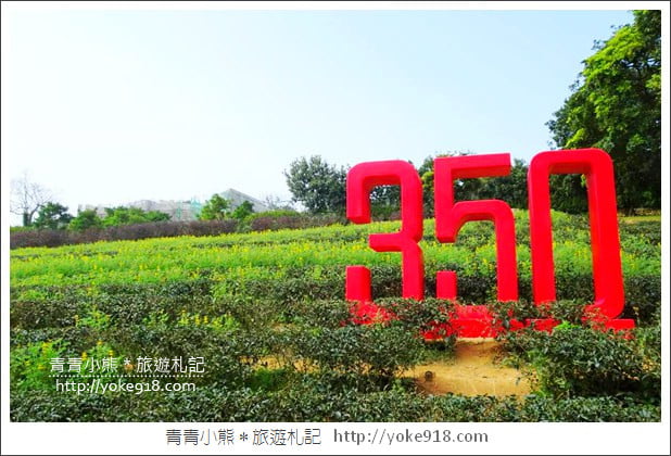 桃園景點》龍潭大北坑魯冰花．戀戀魯冰花海~黃澄澄登場 @青青小熊＊旅遊札記