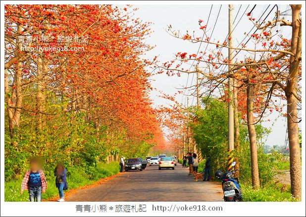 彰化埤頭木棉花》超美賞花景點.綿延1.5公里的木棉花道好迷人 @青青小熊*旅遊札記 彰化埤頭木棉花》超美賞花景點.綿延1.5公里的木棉花道好迷人 @青青小熊*旅遊札記