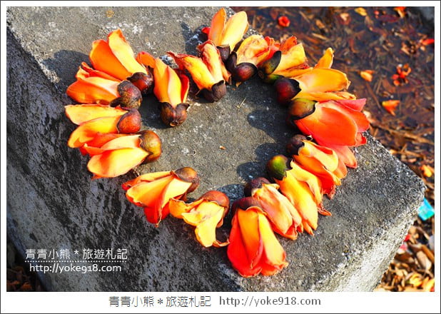 彰化埤頭木棉花》超美賞花景點.綿延1.5公里的木棉花道好迷人 @青青小熊*旅遊札記 彰化埤頭木棉花》超美賞花景點.綿延1.5公里的木棉花道好迷人 @青青小熊*旅遊札記