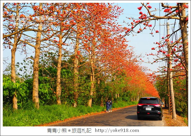 彰化埤頭木棉花》超美賞花景點.綿延1.5公里的木棉花道好迷人 @青青小熊*旅遊札記 彰化埤頭木棉花》超美賞花景點.綿延1.5公里的木棉花道好迷人 @青青小熊*旅遊札記