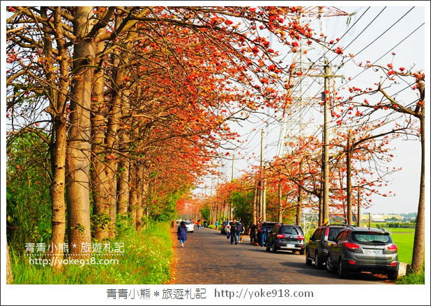 彰化埤頭木棉花》超美賞花景點．綿延1.5公里的木棉花道好迷人 @青青小熊＊旅遊札記