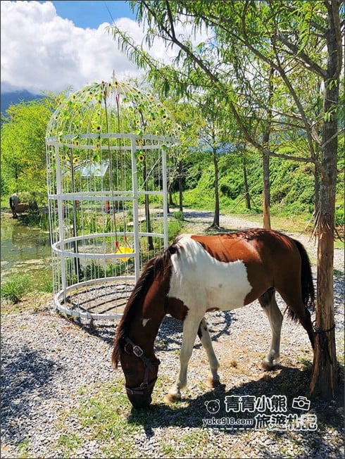 花蓮景點》Pony咖啡.天空中的漂浮夢幻天梯,還有庭園造景、小動物 @青青小熊*旅遊札記 花蓮景點》Pony咖啡.天空中的漂浮夢幻天梯,還有庭園造景、小動物 @青青小熊*旅遊札記