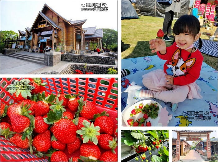 苗栗採草莓景點》苗栗和其它縣市推薦草莓園~冬天就是要甜蜜蜜吃草莓 @青青小熊*旅遊札記 苗栗採草莓景點》苗栗和其它縣市推薦草莓園~冬天就是要甜蜜蜜吃草莓 @青青小熊*旅遊札記