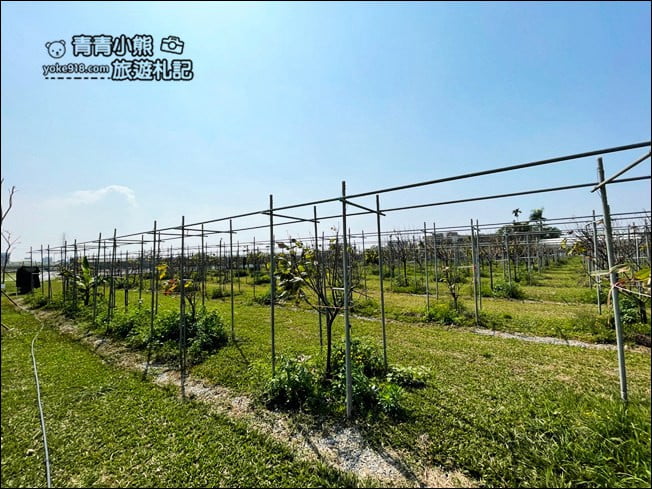 雲林新景點》土庫驛可可莊園．雲林最新的巧克力莊園 @青青小熊＊旅遊札記