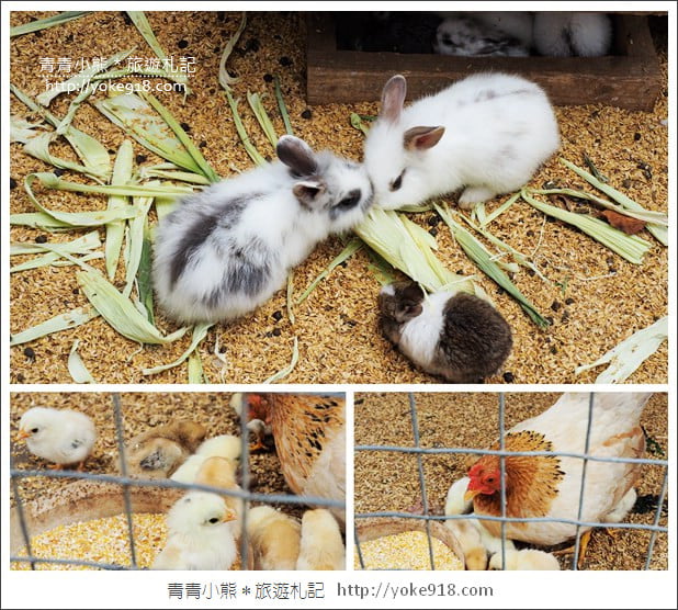 台中親子景點》公老坪 Dream kitchen夢想廚房~適合親子及看夜景的景觀餐廳 @青青小熊＊旅遊札記