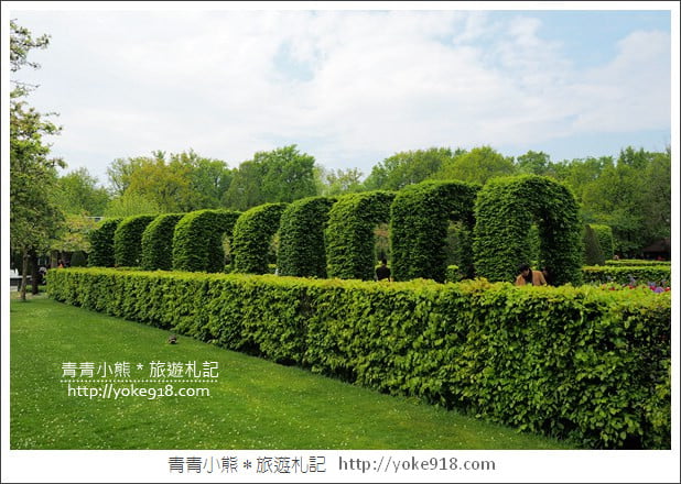荷蘭庫肯霍夫公園》世界最大的鬱金香花園Keukenhof.隨處皆是明信片場景 @青青小熊*旅遊札記 荷蘭庫肯霍夫公園》世界最大的鬱金香花園Keukenhof.隨處皆是明信片場景 @青青小熊*旅遊札記