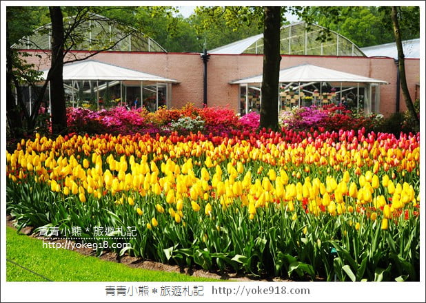 荷蘭庫肯霍夫公園》世界最大的鬱金香花園Keukenhof.隨處皆是明信片場景 @青青小熊*旅遊札記 荷蘭庫肯霍夫公園》世界最大的鬱金香花園Keukenhof.隨處皆是明信片場景 @青青小熊*旅遊札記