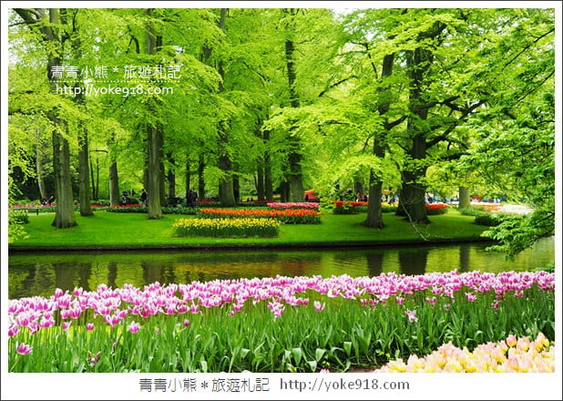 荷蘭庫肯霍夫公園》世界最大的鬱金香花園Keukenhof.隨處皆是明信片場景 @青青小熊*旅遊札記 荷蘭庫肯霍夫公園》世界最大的鬱金香花園Keukenhof.隨處皆是明信片場景 @青青小熊*旅遊札記