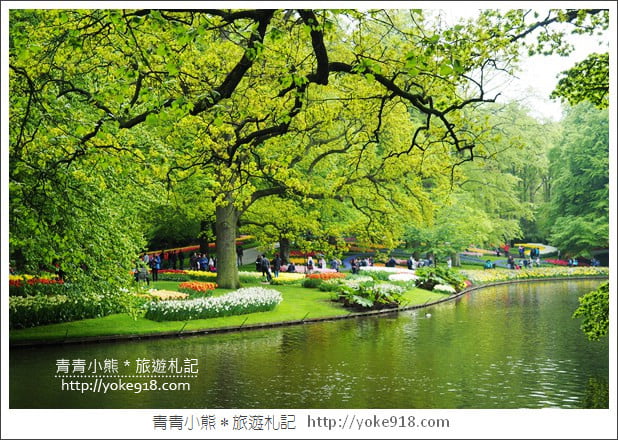 荷蘭庫肯霍夫公園》世界最大的鬱金香花園Keukenhof.隨處皆是明信片場景 @青青小熊*旅遊札記 荷蘭庫肯霍夫公園》世界最大的鬱金香花園Keukenhof.隨處皆是明信片場景 @青青小熊*旅遊札記