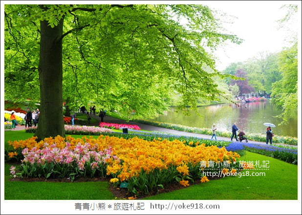 荷蘭庫肯霍夫公園》世界最大的鬱金香花園Keukenhof.隨處皆是明信片場景 @青青小熊*旅遊札記 荷蘭庫肯霍夫公園》世界最大的鬱金香花園Keukenhof.隨處皆是明信片場景 @青青小熊*旅遊札記