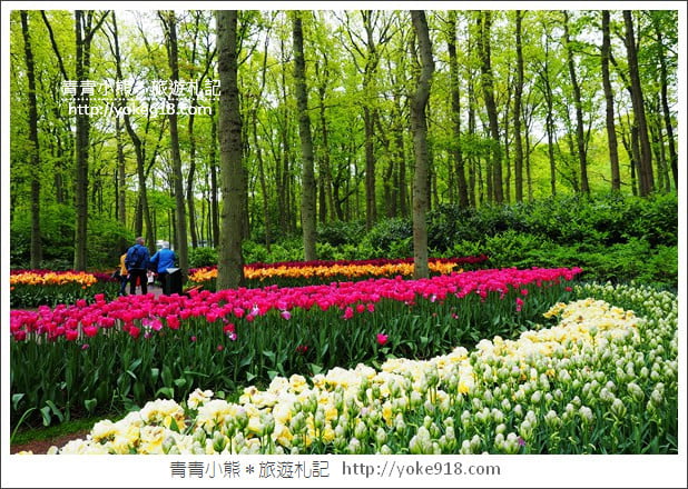 荷蘭庫肯霍夫公園》世界最大的鬱金香花園Keukenhof.隨處皆是明信片場景 @青青小熊*旅遊札記 荷蘭庫肯霍夫公園》世界最大的鬱金香花園Keukenhof.隨處皆是明信片場景 @青青小熊*旅遊札記